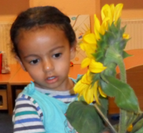 sonnenblumenkind